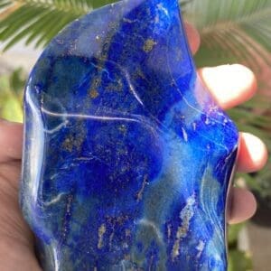 Lapis Lazuli (polished, freeform)